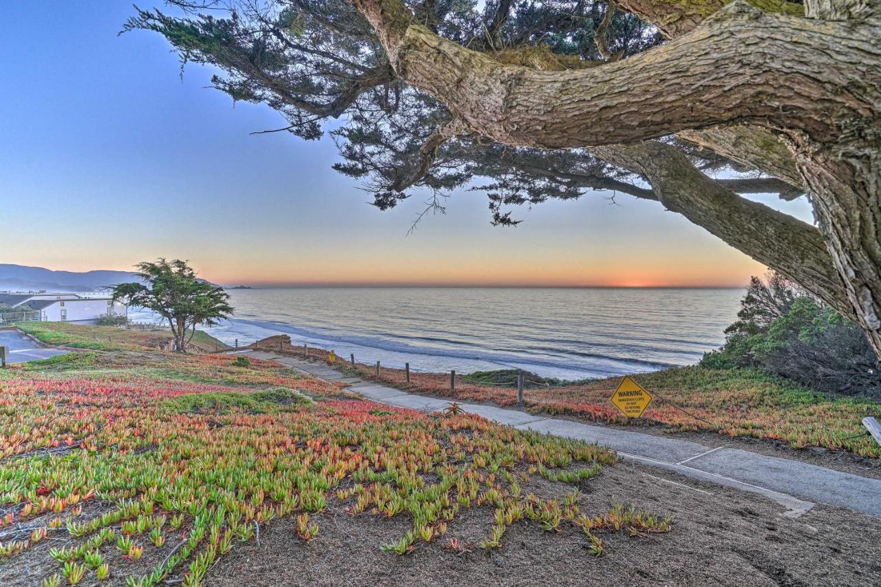 Cliffside Pacifica Hideaway Unbeatable View! Apartment Exterior photo